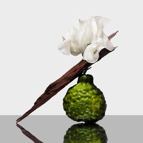 Côte d’Azur Restorative Body Crème