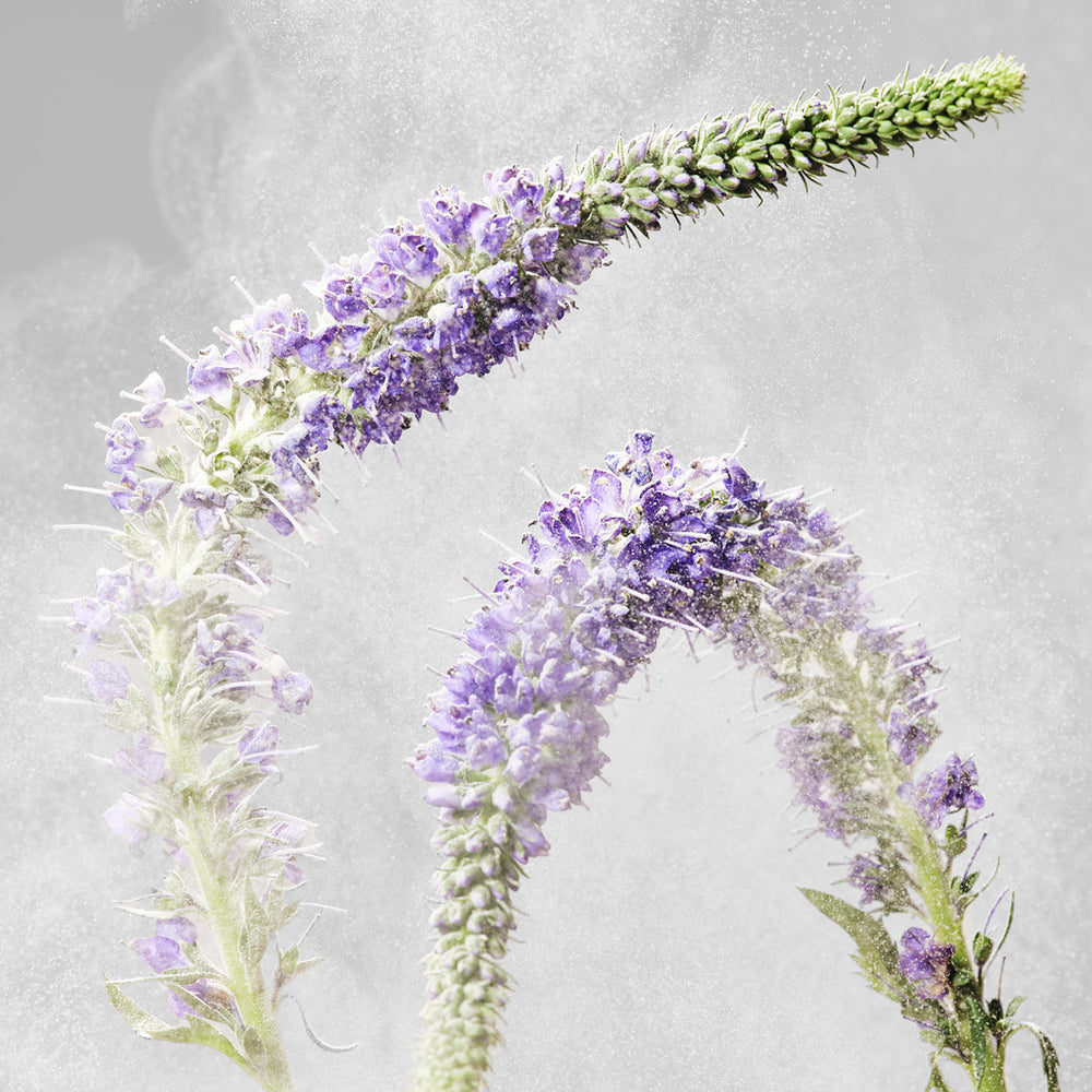 Curative Blend